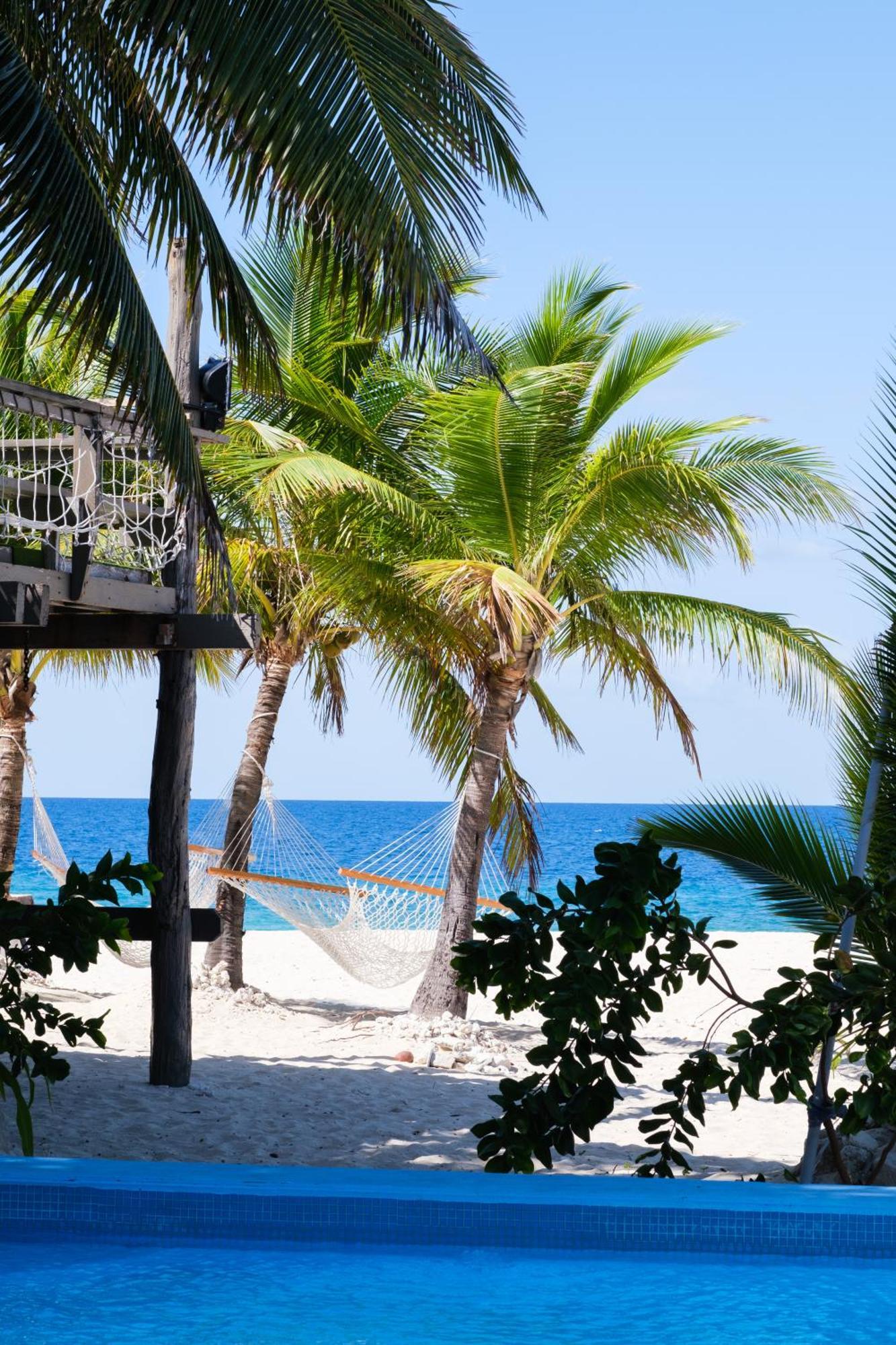Beachcomber Island Resort Dış mekan fotoğraf